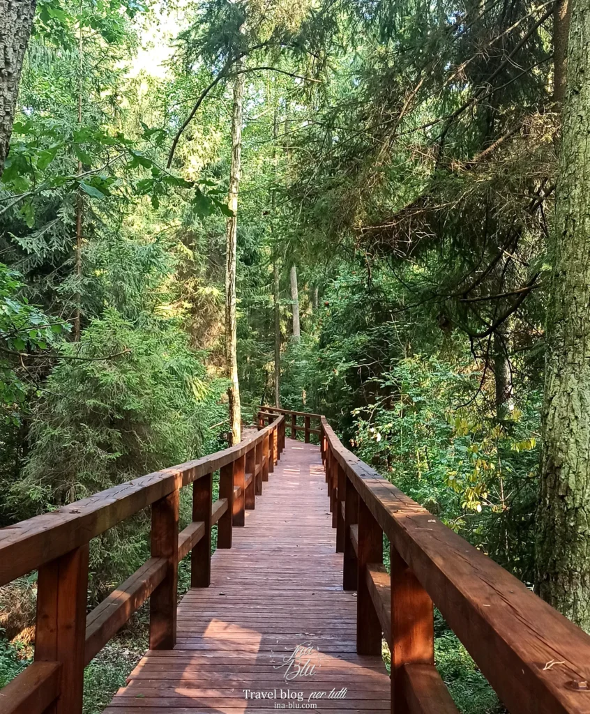 La fonte dell'amore, nella foto la passerella lignea attraverso un fitto bosco verde.