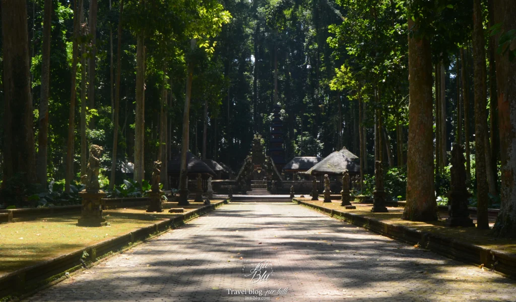 Cosa vedere a Bali in 10 giorni, in foto il tempio immerso nella foresta di alberi secolari
